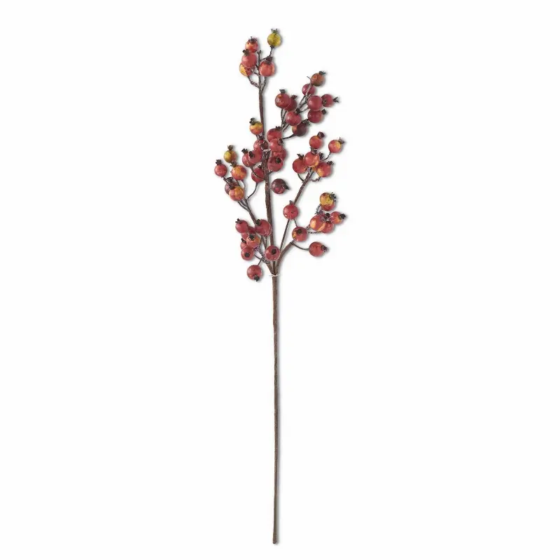 32-inch-crab-apple-stem-rc-willey