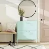 Cache Mint Locker-Style Shoe Storage Cabinet