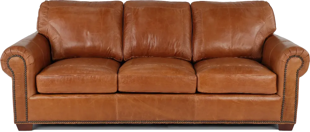 Tahoe Saddle Brown Leather Sofa Bed-1