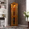 CM0695 Canterdale Golden Oak Lighted Corner Curio Cabinet