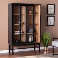 HZ1093805 Hearzly Black Display Cabinet
