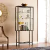 HZ8864 Iron Black Metal & Glass Sliding-Door Display Cabinet
