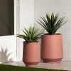 15018 Dalya Burnt Orange Planters, Set of 2 - South Shore