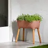 15326 Dalya Burnt Orange Raised Planter - South Shore