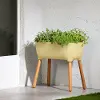 15327 Dalya Light Yellow Raised Planter - South Shore