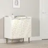 15482 Maliza White and Gold Storage Cabinet