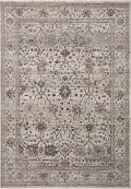 LYR-O4PEB/MUL5.3X7.9 Lyra 5 x 8 Pebble Gray Multicolor Area Rug
