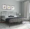 Wallace Bronze Metal King Platform Bed