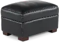 Stallion Black Leather Ottoman