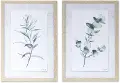 Assorted Eucalyptus Framed Art