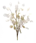31.5 Silver Dollar Stem Spray
