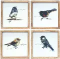 Assorted Wood Framed Bird Prints