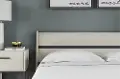 Enola Light Natural Queen Panel Headboard