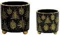 Large 5.75 Inch Black and Gold Dolomite Container