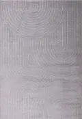 Pure Light 5 x 8 Gray Area Rug
