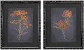 Framed Botanical Art Set of 2