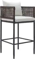 Colombes Paradise Gray Outdoor Barstool