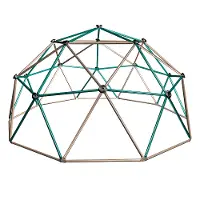 90136 Lifetime Products Dome Climber