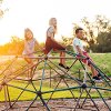 90136 Lifetime Products Dome Climber-2