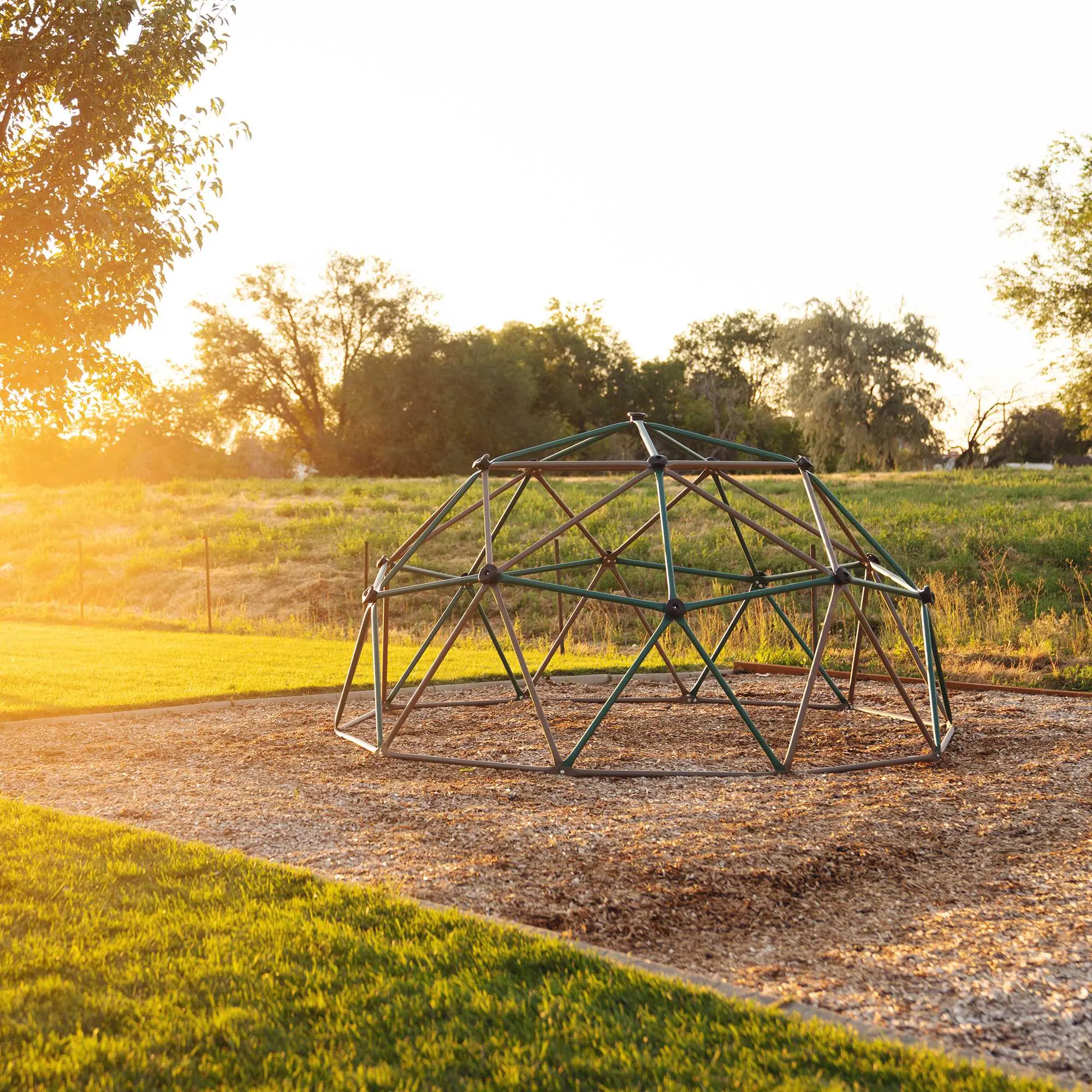 90136 Lifetime Products Dome Climber-3