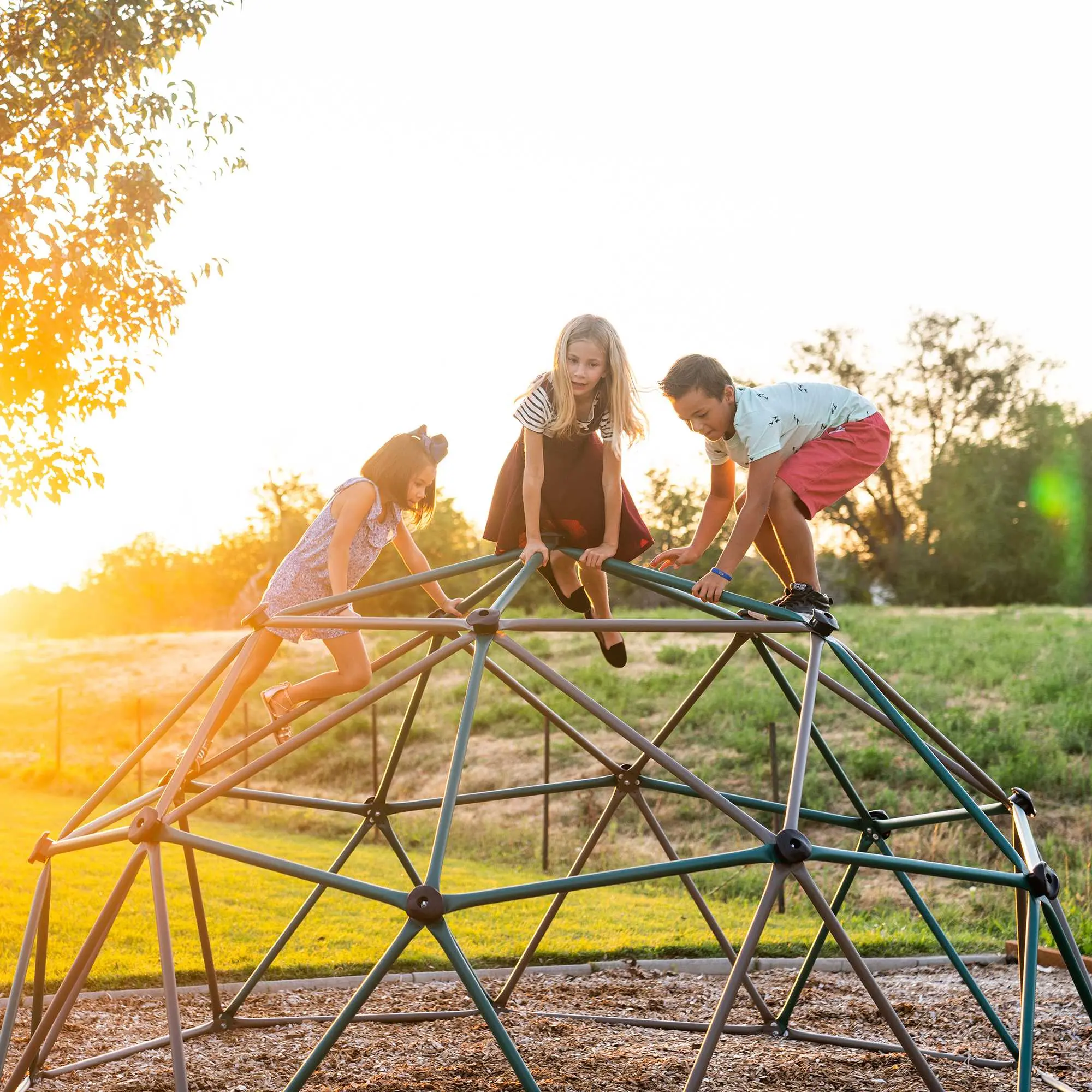 90136 Lifetime Products Dome Climber-5