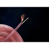 XPMS-50MKIISPKR Monster XP® Clear Jacket Compact Speaker Cable