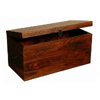 Jaipur Home Wood Trunk
