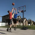 71566 Lifetime 50 Inch Portable Basketball Hoop