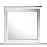 Kentwood Magnussen Mirror