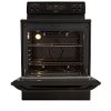 FFEF3018LB Frigidaire 30 Inch 5.3 cu. ft. Electric Range - Black-4