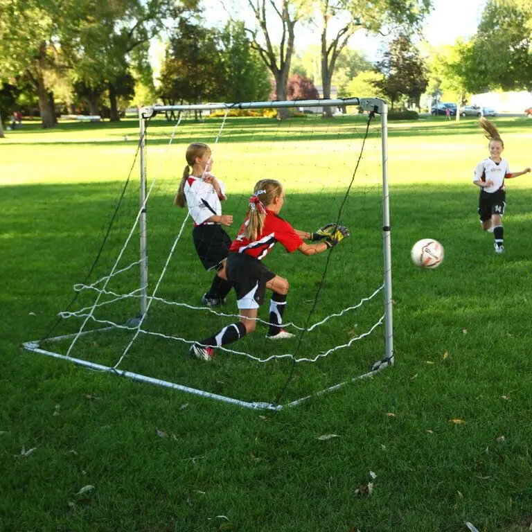 90046 Lifetime Products Portable Soccer Goal-2