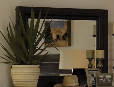Contemporary Mahogany Brown Mirror - Bayfield