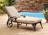 Bronze Chaise Outdoor Lounge Chair with Taupe Cushion - Biscayne