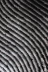 5 x 7 Medium Gray Area Rug - Shaggy