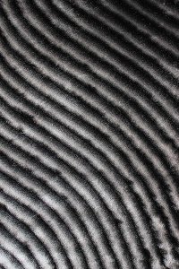 8 x 10 Large Gray Area Rug - Shaggy