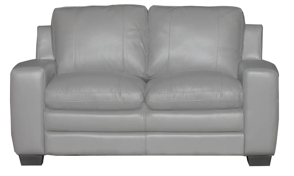 62 Inch Graphite Leather Loveseat-1