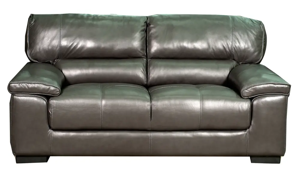 Contemporary Gray Leather Loveseat - Milan-1