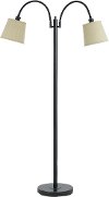 Dark Bronze 2-Light Goose Neck Floor Lamp