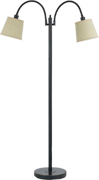 Dark Bronze 2-Light Goose Neck Floor Lamp
