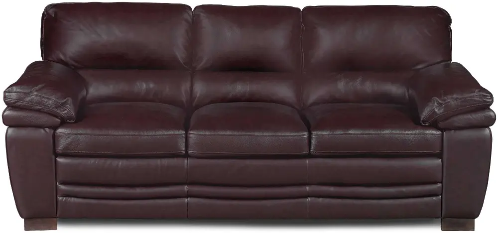 Carson 89 Inch Brown Leather Sofa-1