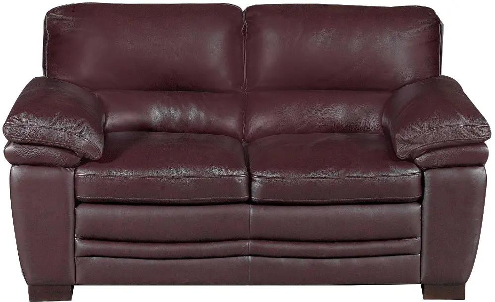 Carson 67 Inch Brown Leather Loveseat-1