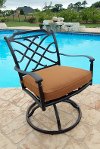 Agio Swivel Rocker - Willowbrook