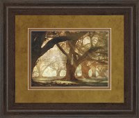 'Morning Light' Framed Wall Art