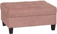 Mahogany Casual Contemporary Storage Ottoman - Marquis
