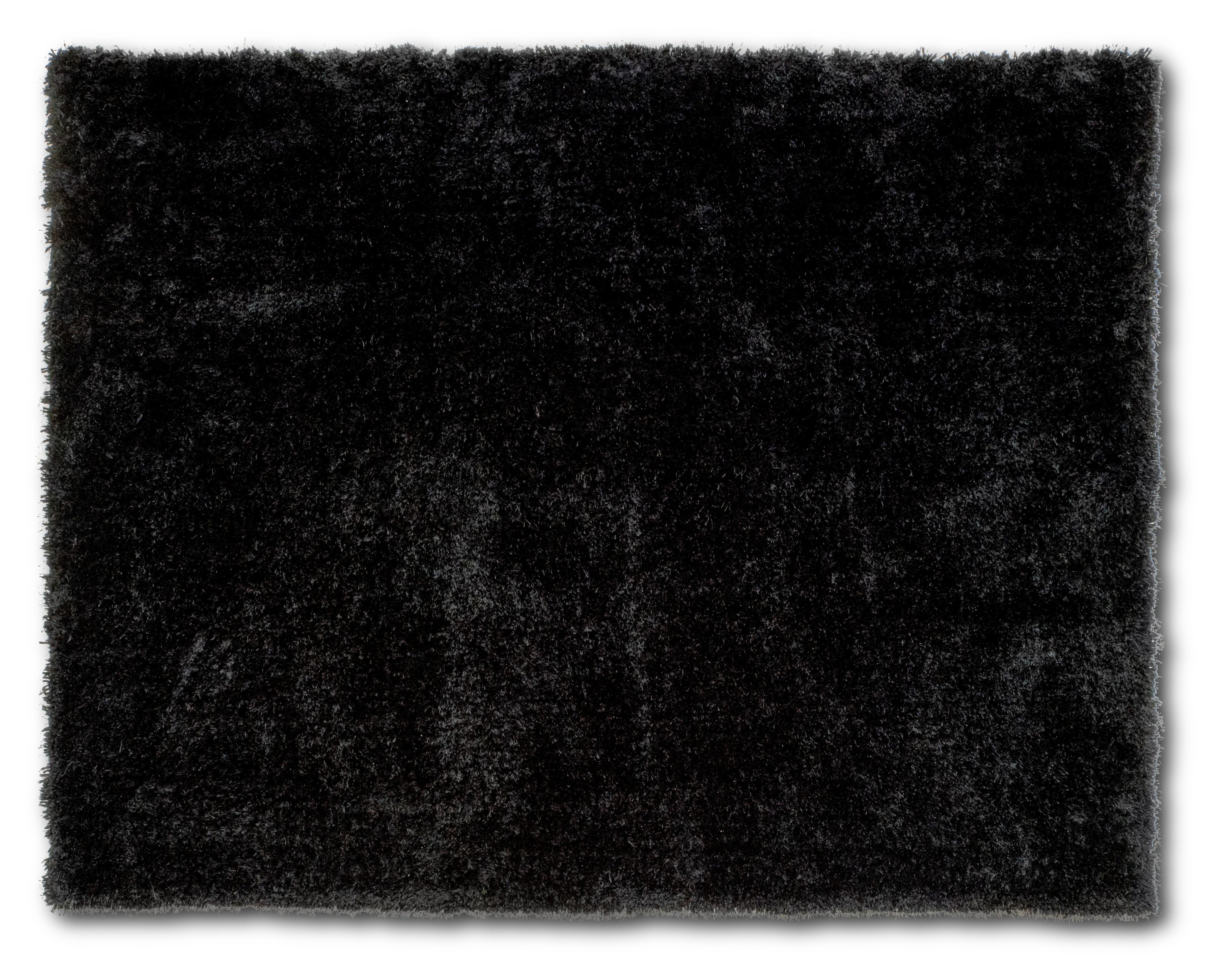 8 x 10 Large Black Area Rug - Viscose-1