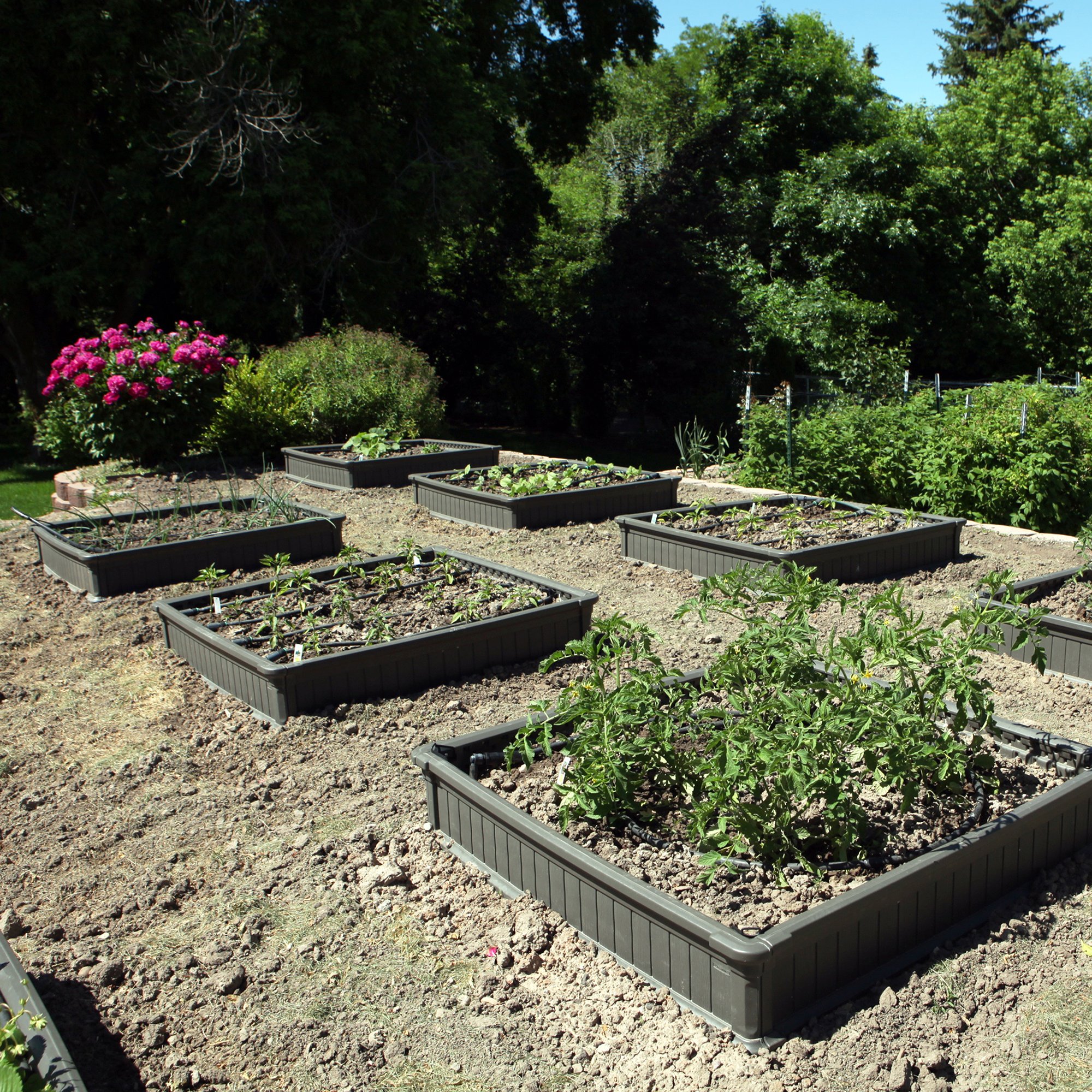 60053 Lifetime Products 4' x 4' Raised Garden 2 Pack-4