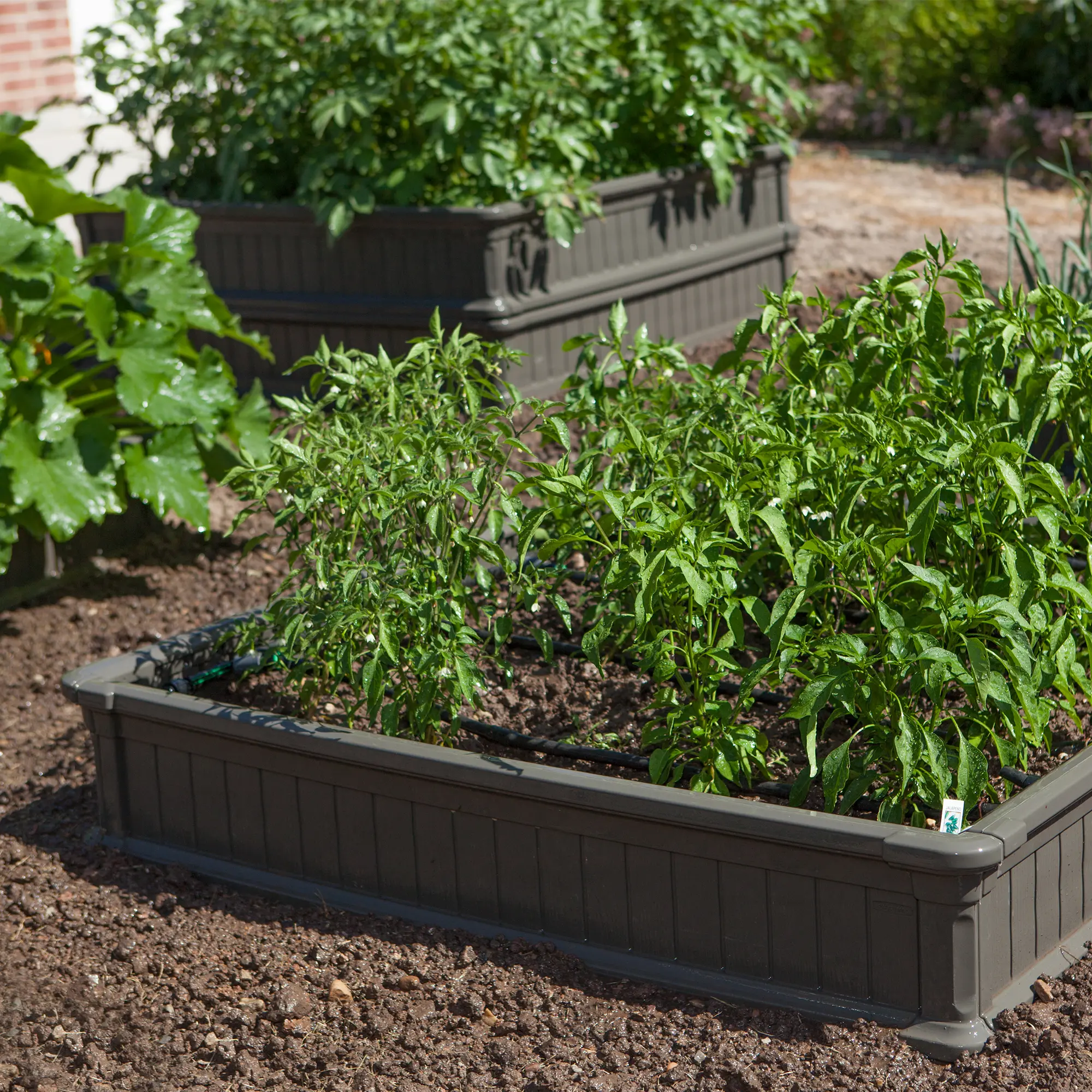 60065 Lifetime Product Raised Garden Bed-1