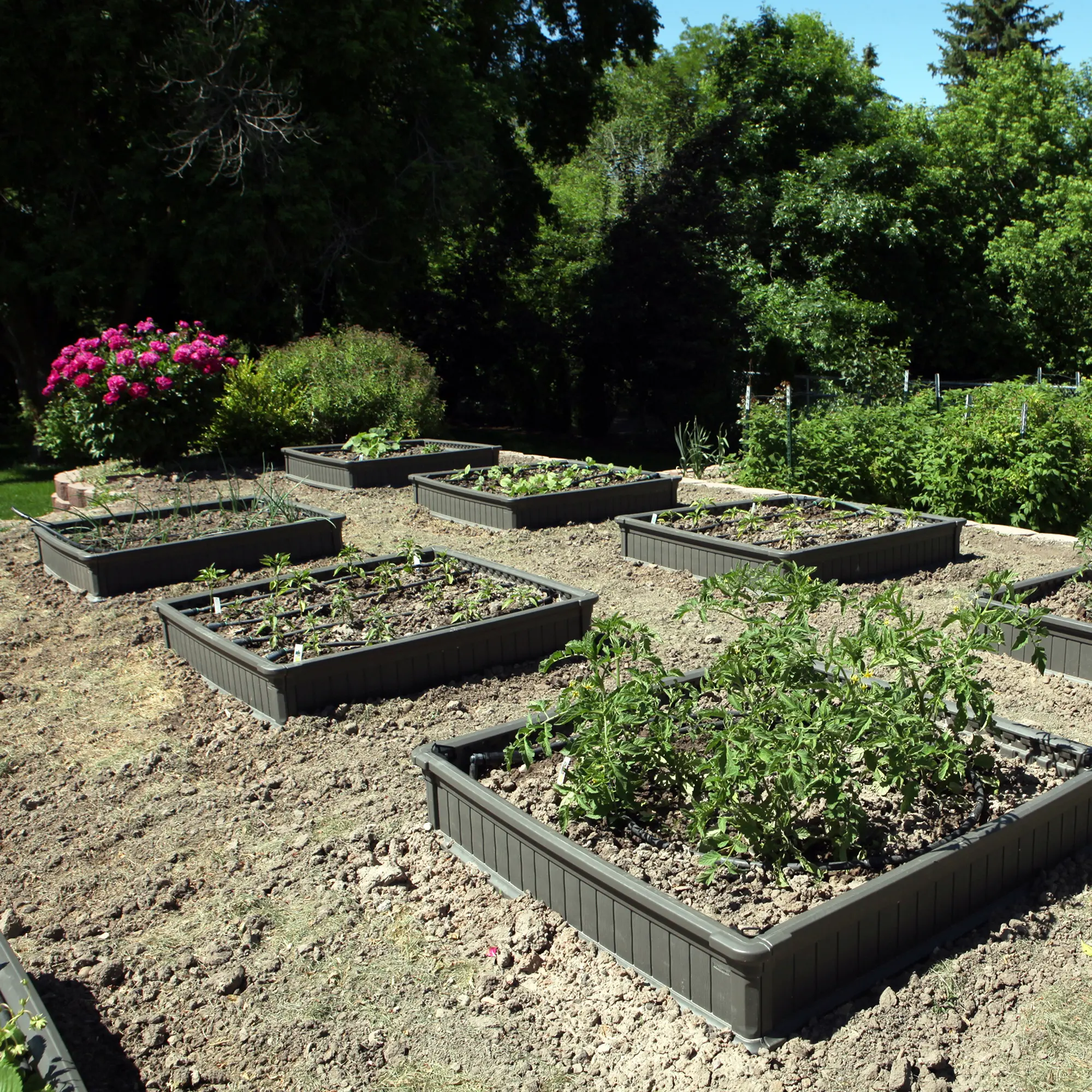 60065 Lifetime Product Raised Garden Bed-4