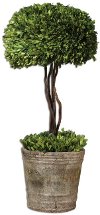 Clearance Preserved Boxwood Tree Topiary Arrangement