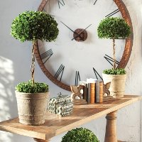 Preserved Boxwood Tree Topiary Arrangement-2